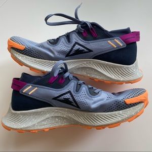 Nike Pegasus Trail 2 - Great Condition!